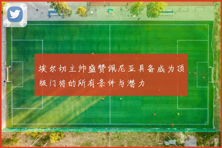 埃尔切主帅盛赞佩尼亚具备成为顶级门将的所有条件与潜力