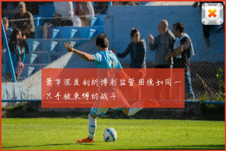 萧华深度剖析博彩监管困境如同一只手被束缚的战斗