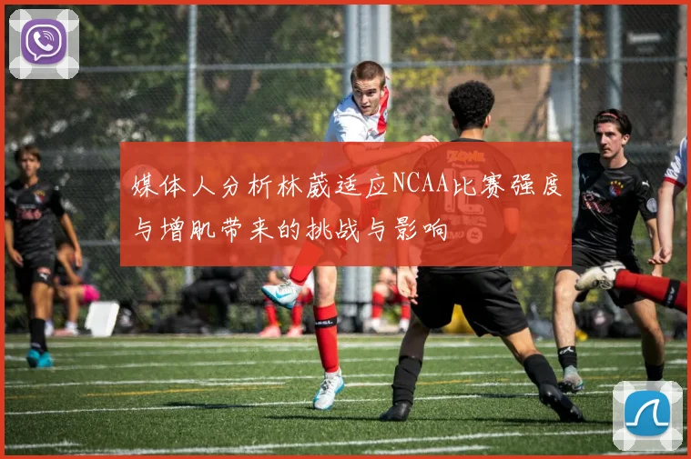 媒体人分析林葳适应NCAA比赛强度与增肌带来的挑战与影响