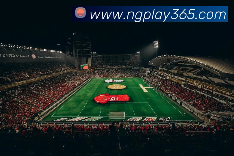 多媒体互动体验