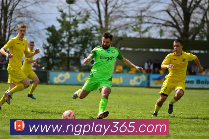 NG体育APP 高清赛事图